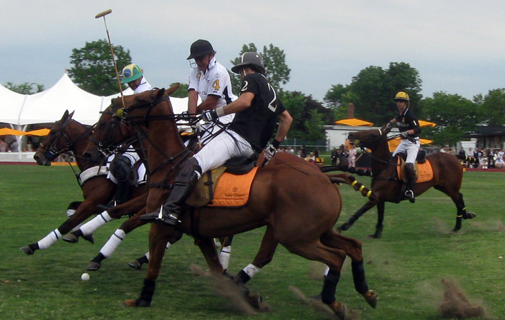 nacho04 - CELEB POLO MATCH BRINGS OUT GRACE, GLAMOUR AND BEAUTY