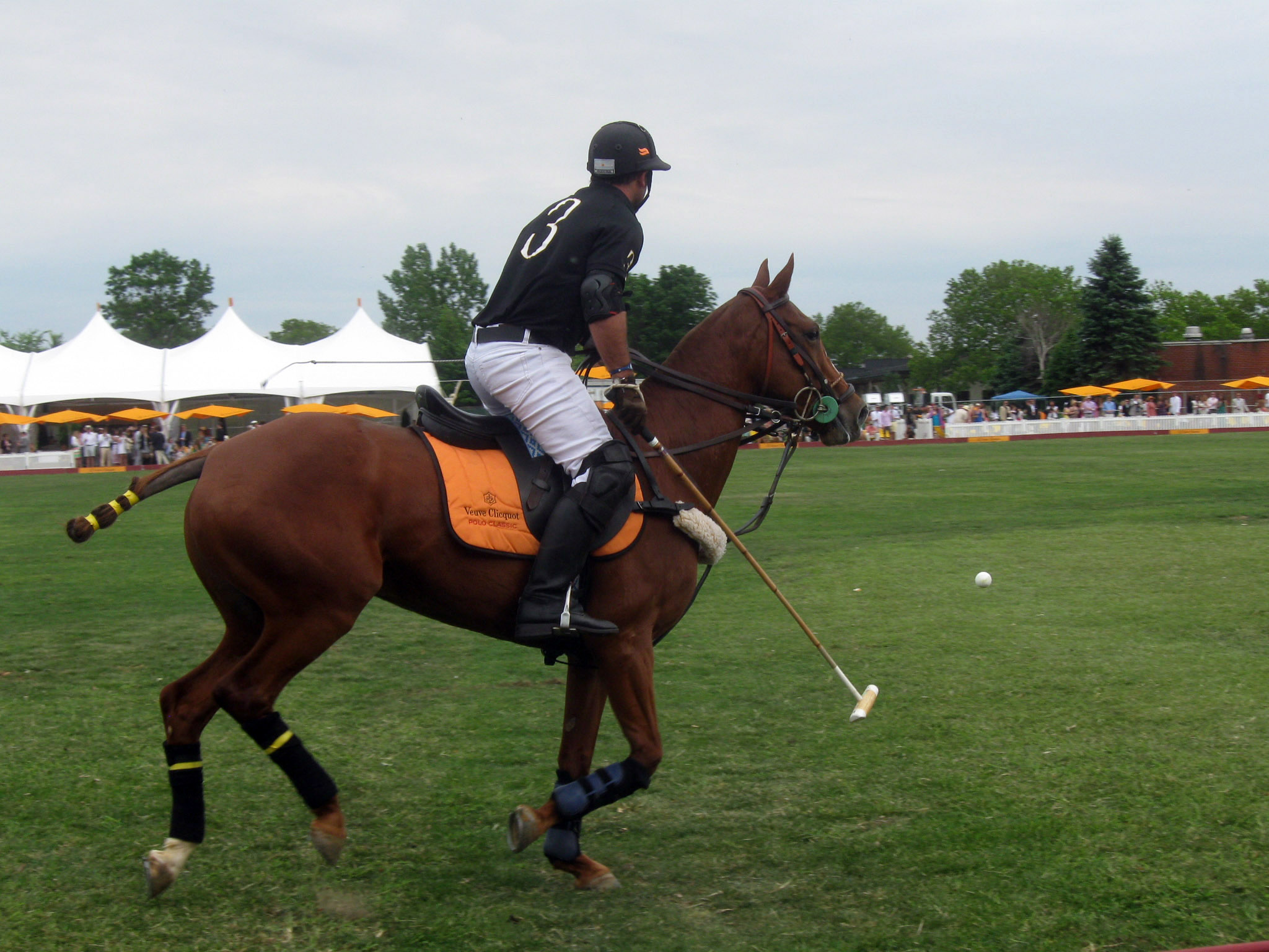 polo02 - CELEB POLO MATCH BRINGS OUT GRACE, GLAMOUR AND BEAUTY