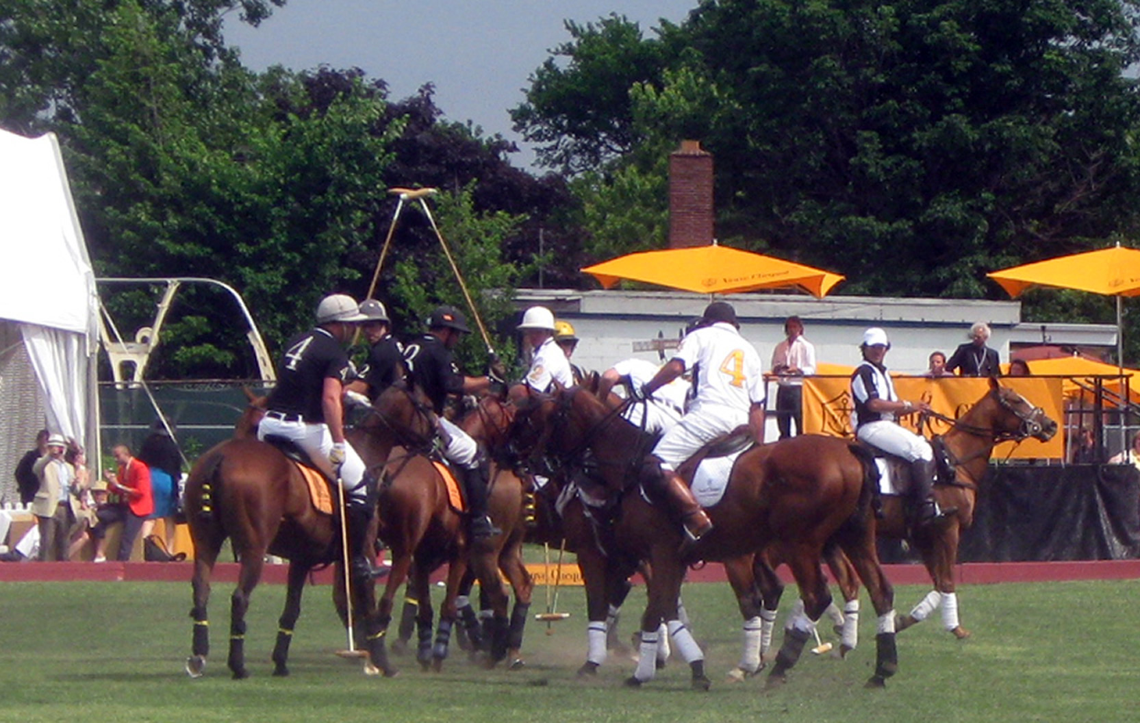 polo07 - CELEB POLO MATCH BRINGS OUT GRACE, GLAMOUR AND BEAUTY