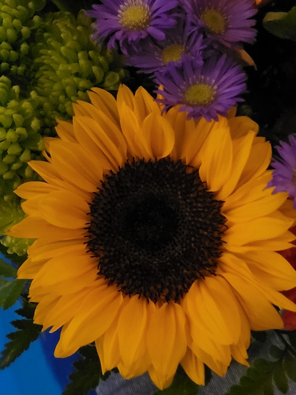 Self-Discovery and Adventurous Goals in The New Year. 20251122 215916 - Self-Discovery and Adventurous Goals in The New Year.