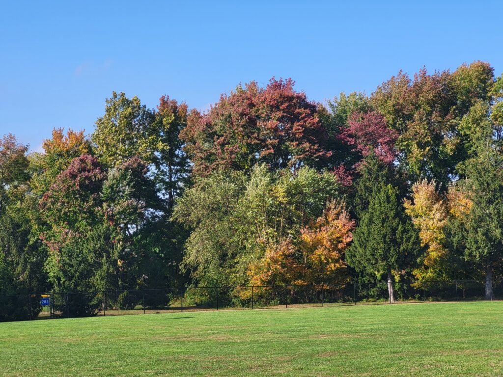 20261016 155002 1 1024x768 - New Jersey's Fall Season Laced in Vibrant Colors and Scenic Beauty.