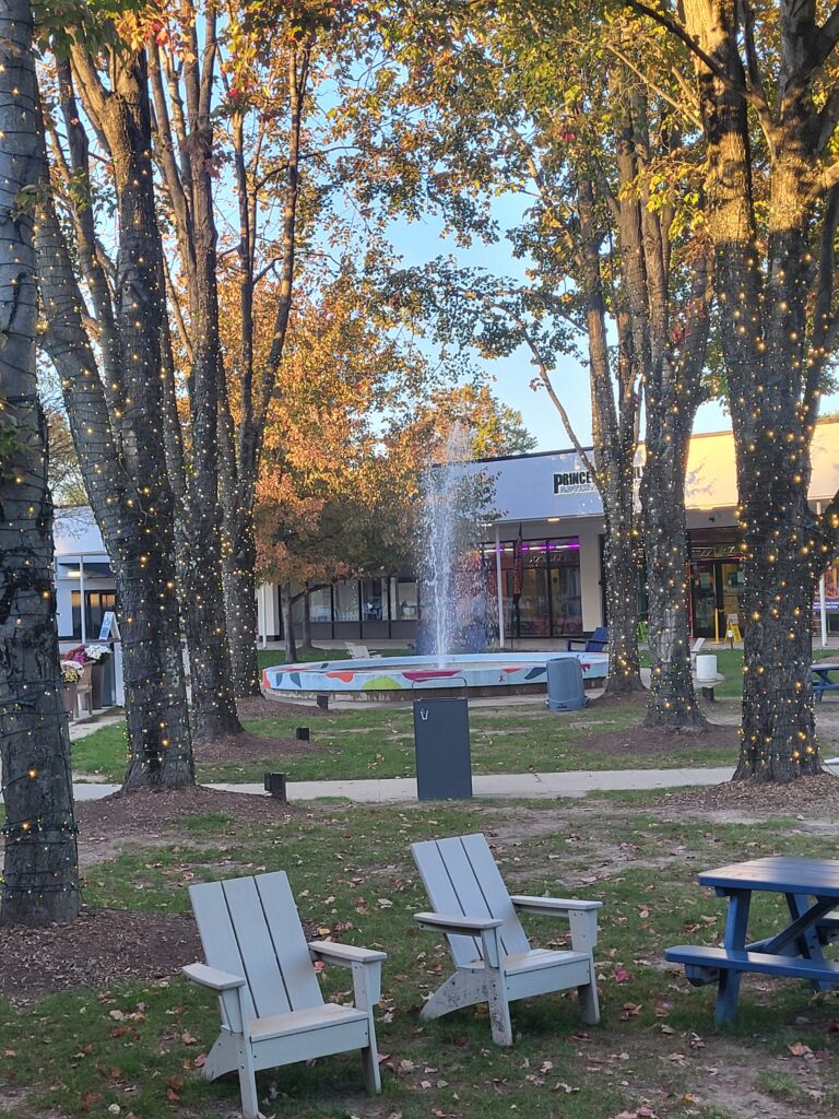 20261023 174357 768x1024 - New Jersey's Fall Season Laced in Vibrant Colors and Scenic Beauty.